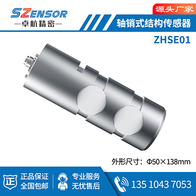 軸銷式結構傳感器 ZHSE01